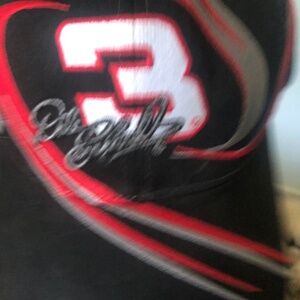 Vintage Dale Earnhardt Hat